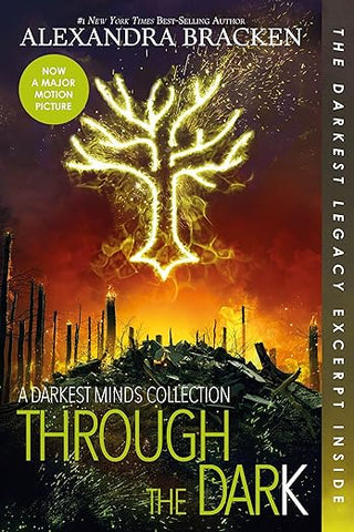 Through The Dark by Alexandra Bracken