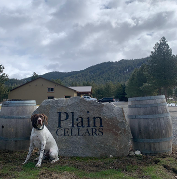 plain cellars entrance with a cute dog