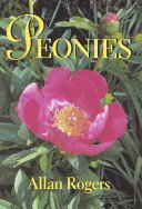 Peonies by Allan Rogers