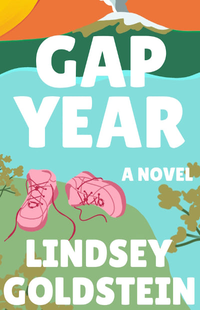 picture of book cover of gap year